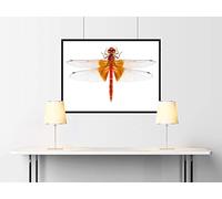 Auhagen 52410 Fieldstones Singolo Modelling Kit (Small)