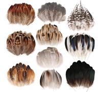 Auiremrti 300 Pezzi di Piume di Fagiano Naturale, Piccole Piume per Creazioni, 10 Stili Misti Piume Decorative con Punti, Ideale per Progetti Artistici E creatività Fai da Te