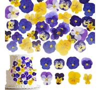 Auiremrti 40 pezzi 8 tipi di fiori naturali essiccati, pressati e commestibili per decorare la torta - Mix di viole del pensiero per cocktail, artigianato fai da te