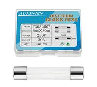 AUKENIEN 30A 30 Ampere 250V Fusibili Vetro 6x30MM Kit Fusibile in Vetro ad Azione Rapida