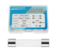 AUKENIEN 6A 6 Ampere 250V Fusibili Vetro 6x30MM Kit Fusibile in Vetro ad Azione Rapida