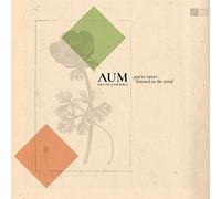 Aum Grand Ensemble - You've Never Listened