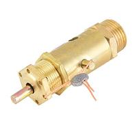 Aumotop Compressore D'aria G3/8 Valvola di Pressione Robusta e Affidabile per Caldaie a Carbone, Installazione Semplice, Cuscinetto di Pressione da 7 Kg, 100% Nuovo Zecca (10 kg)