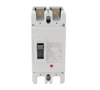 Aumotop Interruttore Automatico Scatolato 200A Interruttore di Protezione Batteria Solare Affidabile 2P DC 1000V per la Distribuzione Dell'energia Materiale Termoindurente