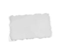 Aumotop Stampo in Silicone Riutilizzabile per Piatto di Frutta, Sottobicchiere Fai da Te Resistente Allo Strappo, per Uso Lavorativo Ed Evento (MD1721 Stampo piatto da frutta quadrato grande)