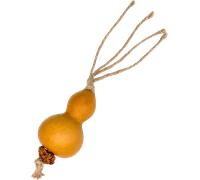 Aumüller Gioco Dentale per Gatti - Zucca - 1 pz.