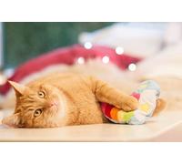 Aumüller Gioco per Gatti - Cuore-Arcobaleno di Peluche - 1 pz.