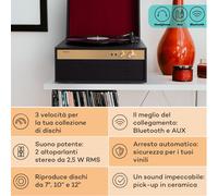 Auna Berklee TT Case - Giradischi, trazione a cinghia, 33 1/3 & 45 giri/minuto, diffusori stereo, legno