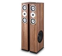 Auna Linie 501 FS BK Coppia Altoparlanti a Torre 280W noce