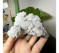 AUOQKQUT 1pc 30-100g Stunning White Rose Calcite Stone Bohemian Style with Fluorescent Effect under Purple Light