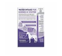 AUOQKQUT Essential Horse Care for Winter Poster, Understanding Water Intake Needs Educational Farmhouse Wall Art Unframed,16x24inch(40x60cm)