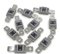 AUPROTEC Fusibile Mega a corrente elevata/blocco a vite 80-500A scelta: 300A ampere, grigio, 10 pezzi