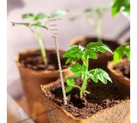 Auratrove Confezione da 6 pali da giardino in rame per elettrocoltura, supporto per piante da 30,5 cm, con filo a spirale per ortaggi e fiori, strumento di miglioramento della crescita naturale per