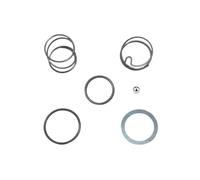 Auratrove Kit di ricambio per porta punte a sfera e driver in acciaio per molle compatibile con dewalt 20 V per Impact DCF885 DCF886 DCF805, parte N078434 N089668, 2 set