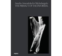 Aurelio Amendola for Michelangelo. The primacy of the informal. Catalogo d...