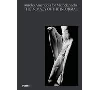 Aurelio Amendola for Michelangelo. The primacy of the informal. Catalogo della m