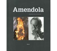 Aurelio Amendola. Fotografo per l'arte e per gli artisti. Ediz. illustrata