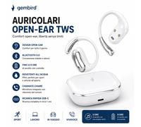 Auricolari Bluetooth Open-Ear TWS Wireless con Gancio, Cuffie Sportive BT 5.0 con Custodia di Ricarica USB-C, Auricolari Open Ear Senza Fili con Microfono Integrato, Stereo HD, IPX4, per Running,