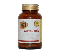 AURICULARIA LINEA PLUS 90CPR