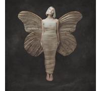 Aurora All My Demons Greeting Me As a Friend (Vinyl LP) 12" Album