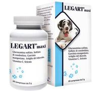 Aurora Biofarma Legart Maxi per animali di taglia grande Supporto legamenti Compresse per cani 60 Compresse da 2 gr - Integratori per cani - 1° ORDINE? scegli lo sconto BZR5 / BZR20 + 200 punti fedelt