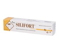 Aurora Biofarma SILIFORT PASTA OS SIRINGA 30 G