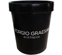 AURORA BOREALE - DECORATIVO LUMINESCENTE 750ML