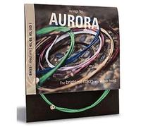 Aurora chitarra elettrica nero 11 - 50