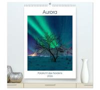 Aurora - Polarlicht des Nordens (hochwertiger Premium Wandkalender 2026 DIN A2 hoch), Kunstdruck in Hochglanz: Sehen Sie Bilder, die den meisten Menschen verborgen bleiben