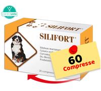 Aurora SILIFORT 30 Compresse per CANI e GATTI - Migliora la Funzionalità Fegato