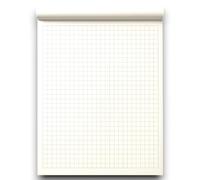 Aurora Store - 5 BLOCCHI LAVAGNA A FOGLI MOBILI da 20 FOGLI 70x100 cm RIGATURA A QUADRETTI 80 gr. per lavagna cavalletto CARTA BIANCA QUALITA'FORATURA UNIVERSALE per tutte le lavagna