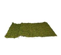 Aurora Store.it 5 pz Tappeto Muschio Prato Verde per presepe Fondale Sintetico per Decorazione Scenario Paesaggio Carta Presepe Rotolo da 50x70cm