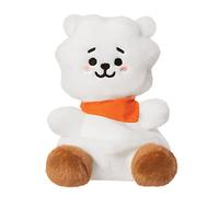 Aurora World Aurora, 61505, BT21 RJ Palm Pal, peluche Eco-Friendly, bianco, 13 cm