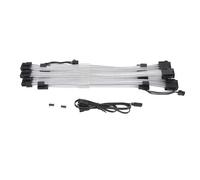 AurSoltriad Cavo prolunga ARGB con Guaina, Cavo PSU Sincronizzato a Doppia estremità 3x8 Pin per Case del Computer, Sorgente Luminosa duale Colorata con Fibra Ottica e Intreccio in Alluminio,