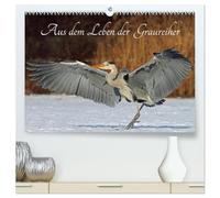 Aus dem Leben der Graureiher (hochwertiger Premium Wandkalender 2026 DIN A2 quer), Kunstdruck in Hochglanz: Einblicke in das Leben der Graureiher