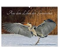 Aus dem Leben der Graureiher (Wandkalender 2026 DIN A2 quer), CALVENDO Monatskalender: Einblicke in das Leben der Graureiher