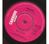 Aus der Sicht und mit den Worten von..