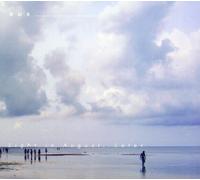 AUS - LIGHT IN AUGUST, LATER