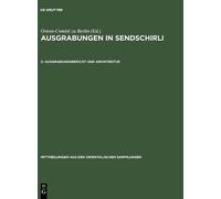 Ausgrabungsbericht Und Architektur (Copertina rigida)