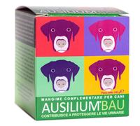 AUSILIUM BAU 100 G