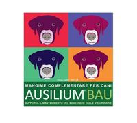 Ausilium Bau - 300GR