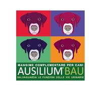 Ausilium Bau - 300GR