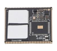 Ausla Core1106 Core Board, 0.5 TOPS Int4 8 16 128MB DDR3L 5MP 30 Input USB 2.0 Interface Core Board for Cortex A7 1.2GHz Processor for RV1106G2