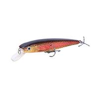Ausla Esca da Pesca in Plastica con Esca Dura da 11 Cm, Occhi 3D Realistici, Azione Subacquea, Perfetta per la Pesca Alla Trota Spigola (11CM-11G-6#gancio)