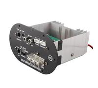 Ausla Scheda Amplificatore per Auto Modulo Amplificatore Automatico in Lega di Alluminio 12V 120W con Selezione Gamma Completa di Bassi Ingresso a 2 Vie e Protezione per Audio Subwoofer per Auto