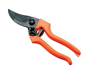 AUSONIA - 31132 FORBICE DA VIGNA PROFESSIONALE PATIN 3 CM 21