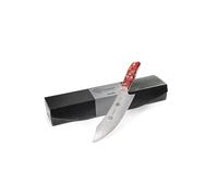 AUSONIA - 61970 Coltello da Churrasco professionale con lama inox da 20 Cm per il taglio e la preparazione della carne dei barbecue, bbq e puled pork