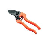 Forbice vigna taglio passante lama in acciaio modello "PATIN 2" marca AUSONIA