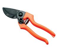 Ausonia - Forbice vigna professionale Patin 5 cm 21