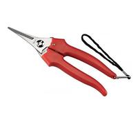 AUSONIA FORBICI COGLIUVA 190 INOX PUNTA STRETTA